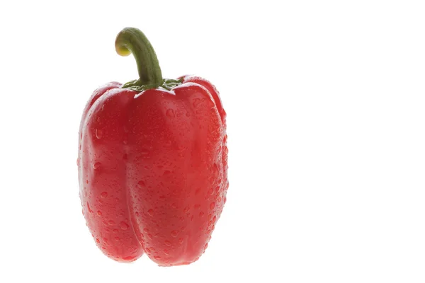 Red pepper over white background — Stock Photo, Image