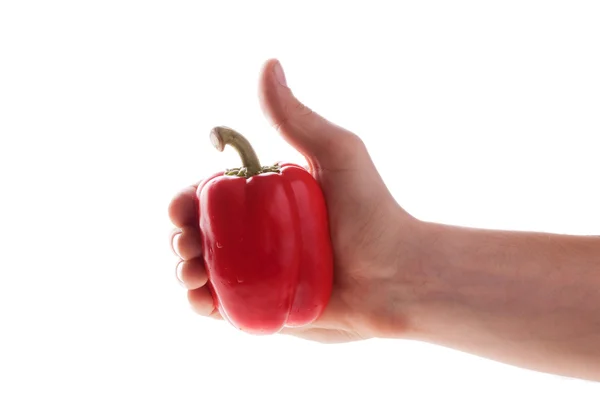 Pimiento rojo sobre fondo blanco. — Foto de Stock