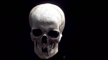 İnsan kafatası 4 k