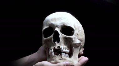 İnsan kafatası 4 k