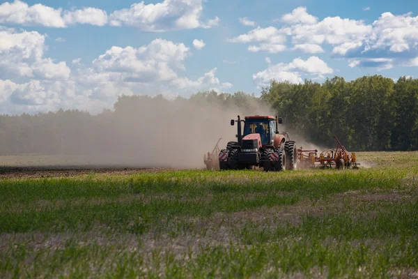 Buğday Tarlasında Hasat Birleşimi Çalışıyor