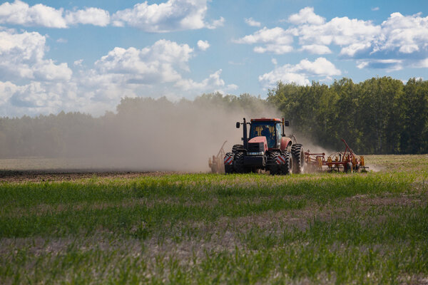 Рабочий комбайн на пшеничном поле