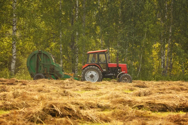 Buğday Tarlasında Hasat Birleşimi Çalışıyor