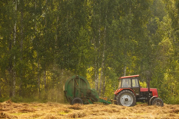 Buğday Tarlasında Hasat Birleşimi Çalışıyor