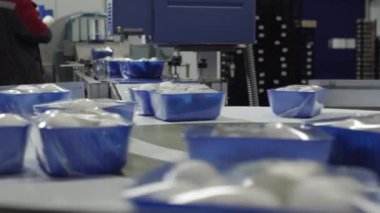 Mantar ambalajı ve ambalajı üretimde. Beyaz şampiyon mantarları plastik ambalajla paketlenmiştir. Fabrikanın arkasındaki otomatik taşıma bandı. Mantar çiftliği