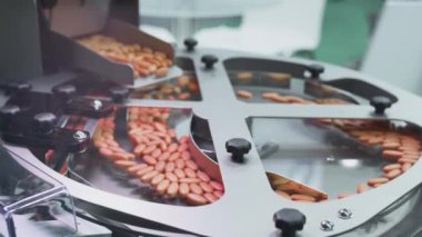 Turuncu haplar ya da besin takviyeleri taşıyıcı boyunca ilerler. İlaç ve tıbbi malzeme üretimi. Tablet üretimi. İlaç Endüstrisi Tabletli Taşıma Hattı, Fabrika Ekipmanı.