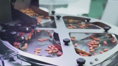 Turuncu haplar ya da besin takviyeleri taşıyıcı boyunca ilerler. İlaç ve tıbbi malzeme üretimi. Tablet üretimi. İlaç Endüstrisi Tabletli Taşıma Hattı, Fabrika Ekipmanı.
