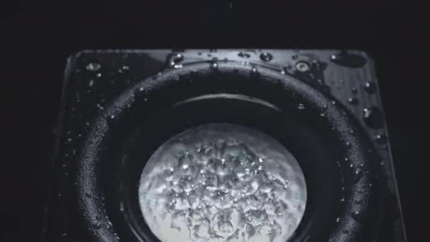 Dark Wave Audio en Black Water Liquid op een plaat. Subwoofer speaker met water. Druppels exploderen boven het geluid van de bas. Vloeibare sprongen op de audio speaker. Achtergrond voor een feestje. Langzame beweging — Stockvideo