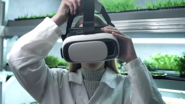 Uma cientista ou uma médica no laboratório põe óculos de realidade virtual. Novas tecnologias na ciência e na medicina. Prateleira de microgreening geneticamente modificado. Usa inteligência artificial. — Vídeo de Stock