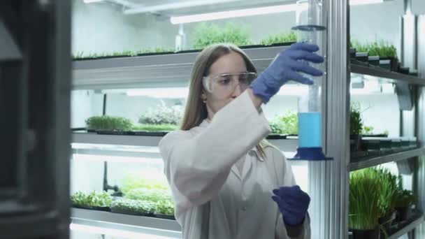 O femeie om de știință în ochelari de protecție și o haină albă se uită la lichidul albastru într-un tub de testare. Analizează datele biologice din laborator. Efectuează cercetări cu biochimie pe plante. Cercetare științifică . — Videoclip de stoc