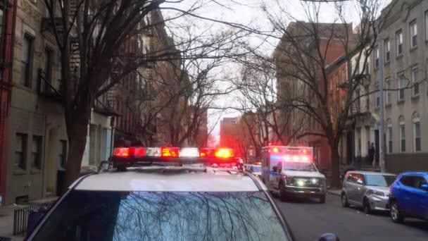 NEW YORK - 04.01.2021: Volledige waaier van politieauto lichten. — Stockvideo