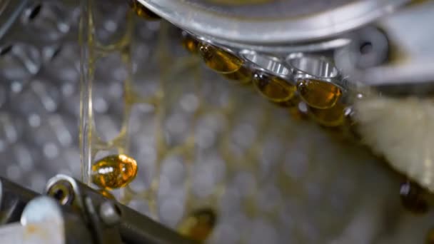 Želatinové tobolky při výrobě vitaminů a léků. Zpomalený pohyb — Stock video