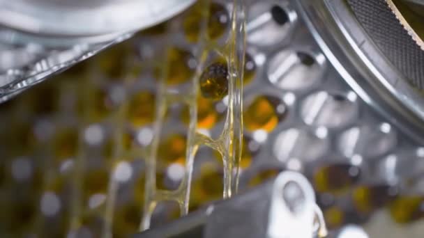 Gelatinecapsules bij de productie van vitaminen en geneesmiddelen — Stockvideo