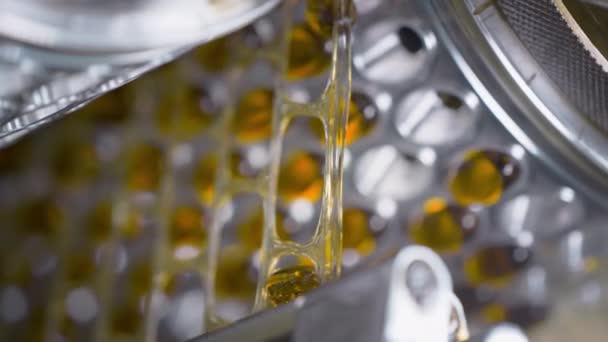 Visolie gelatine capsules in de productie van vitaminen, big pharma — Stockvideo