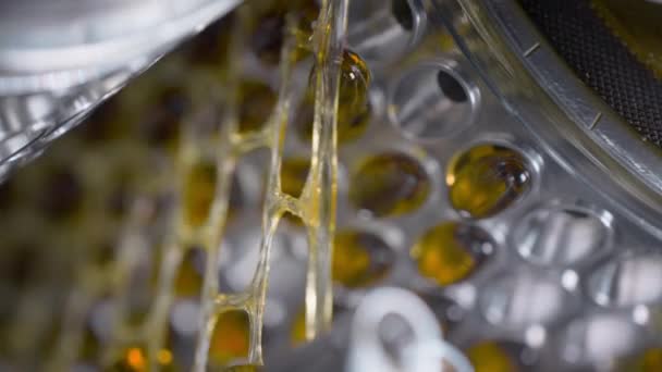 Риб'ячий жир желатинові капсули у виробництві вітамінів та ліків — стокове відео