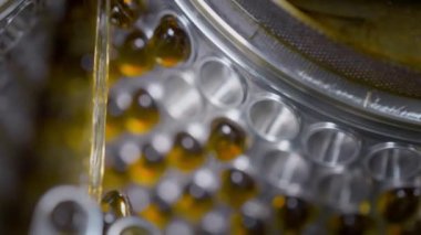 Vitamin üretiminde balık yağı jelatin kapsülleri, büyük ilaç
