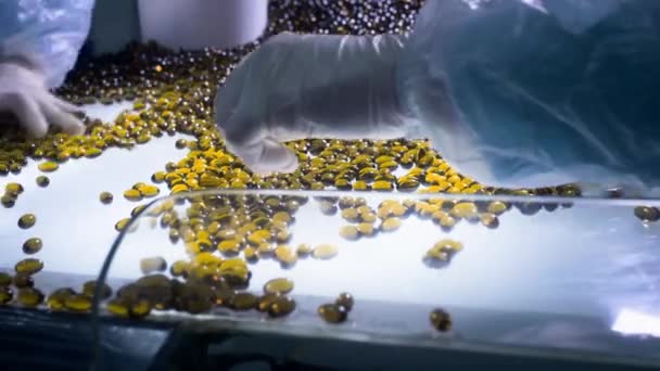 Kapszula előállítása Omega-3 zsírsavak, sárga kapszula — Stock videók