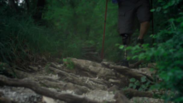Male hiker with a prosthetic leg. Metal prosthetic knee and foot. — Stock Video