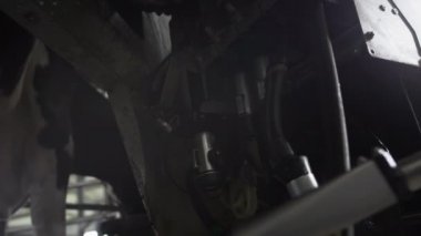 Kırmızı lazer, süt pompalamak ya da emmek için ineğin memesini tarar. İnek sağmak için otomatik makine robotu