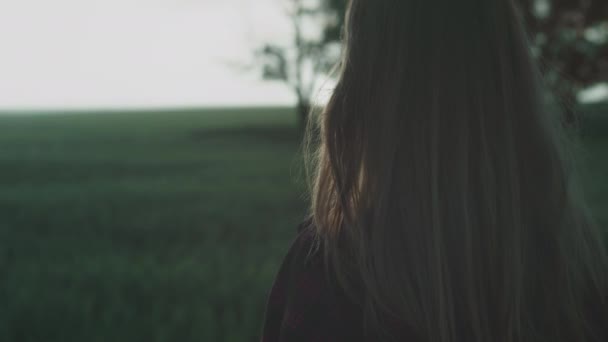 A young girl in a checkered red shirt stands in a field at sunset or dawn. The hair is blown by the wind — Stock Video