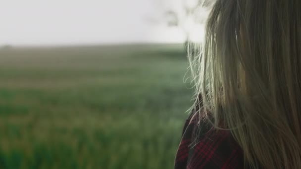 Ein junges romantisches Mädchen im karierten roten Hemd steht bei Sonnenuntergang oder Sonnenaufgang auf einem Feld. Die Haare werden vom Wind verweht — Stockvideo
