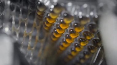 Otomatik bir makinede sarı jel kapsüller. Omega 3 veya balık yağı