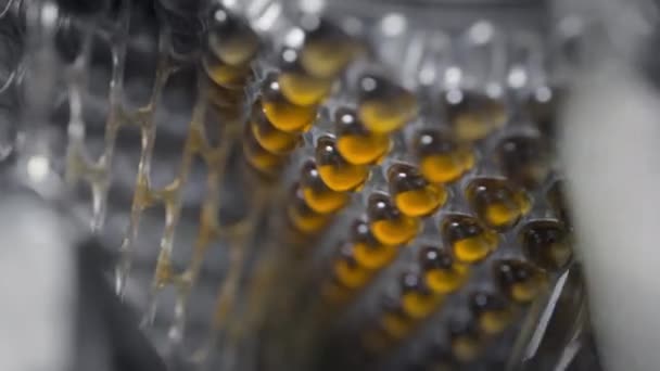 Yellow gel capsules in an automatic machine. Omega 3 or fish oil — Stock Video