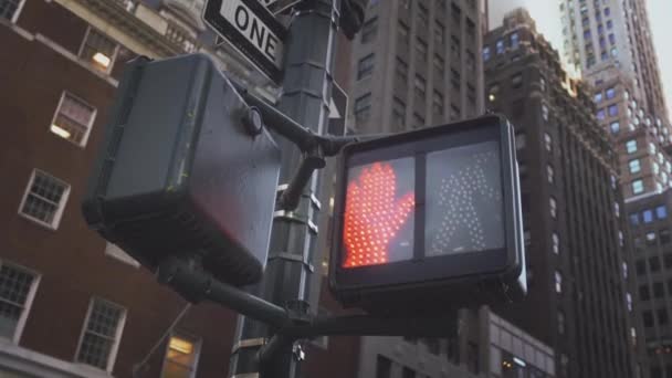 Fortsätt gå New York trafikskylt med upplyst och suddig bakgrund — Stockvideo
