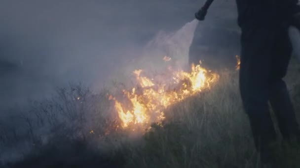 Ένας πυροσβέστης κρατάει μια μάνικα με νερό στα χέρια του, σβήνει μια φλεγόμενη φλόγα. Η φύση καίγεται: γρασίδι, στέπα, δάση και χωράφια — Αρχείο Βίντεο