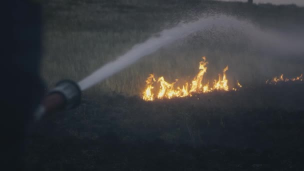 Een brandweerman houdt een slang met water in zijn handen, blust een brandende vlam uit. Natuurlijke objecten branden: gras, steppe, bossen — Stockvideo