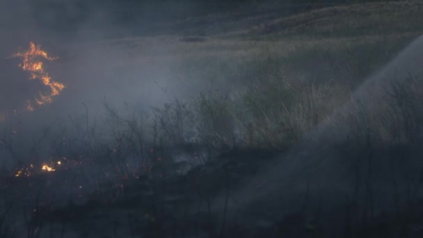 Een brandweerman houdt een slang met water in zijn handen, blust een brandende vlam uit. De natuur staat in brand: gras, steppe, bossen en velden — Stockvideo