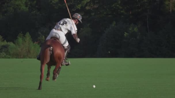 UFA RUSIA - 05.09.2021: Partido en un caballo en un club de polo. El jinete patea la bola blanca en la hierba. El jugador golpea la pelota con un palo de madera al polo — Vídeos de Stock