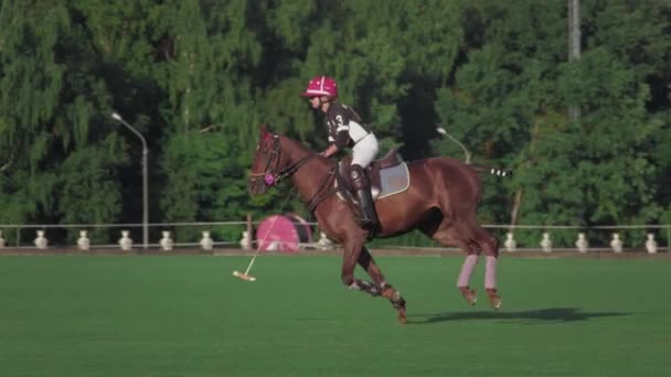 UFA RUSKO - 05.09.2021: Zápas na koni v polo klubu. Jezdec trefí bílou kouli do zelené trávy, minul. Blow past — Stock video