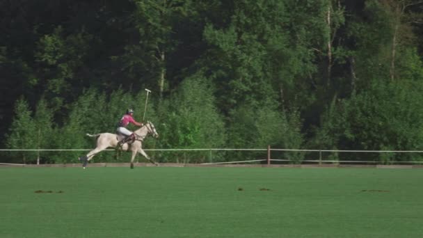 UFA RUSIA - 05.09.2021: Partido en un caballo en un club de polo. El jinete patea la bola blanca en la hierba. El jugador golpea la pelota con un palo de madera al polo — Vídeo de stock