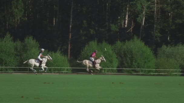 UFA RUSSIA - 05.09.2021: Partita a cavallo in una squadra di polo. Il cavaliere calcia la palla bianca sull'erba. Il giocatore colpisce la palla un bastone di legno per polo — Video Stock