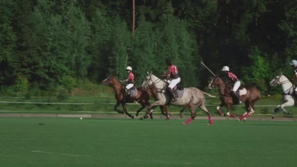 UFA RUSIA - 05.09.2021: Partido en un caballo en un club de polo. Jugadores jinetes en el campo de estadio. Caballos galopando en la hierba verde — Vídeo de stock