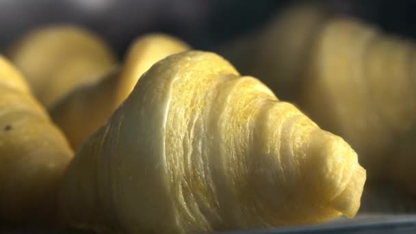 Croissant di pasta sfoglia fatti in casa Timelapse nel forno della cucina. Panini tradizionali viennesi europei. Colazione sana. Torte al forno croccanti calde — Video Stock