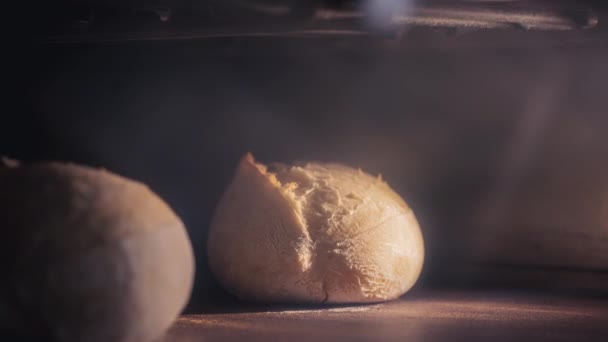 Mutfak fırınında ev yapımı organik hamur ekmeği. Ekmek yukarı kaldırıldı ve pişirildi. Fırıncı fırında yemek pişirir. Ürün üretimi — Stok video