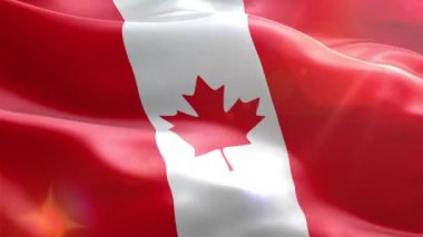 Kanada animasyonlu 3d bayrağı