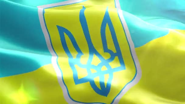 动画 3d 国旗的乌克兰 — 图库视频影像