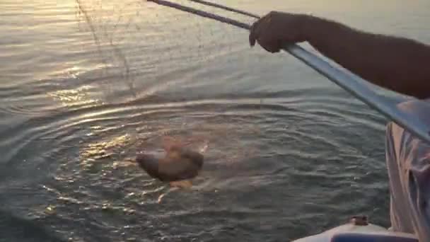 Un uomo in una barca pescatore catturato ha preso un pesce . — Video Stock