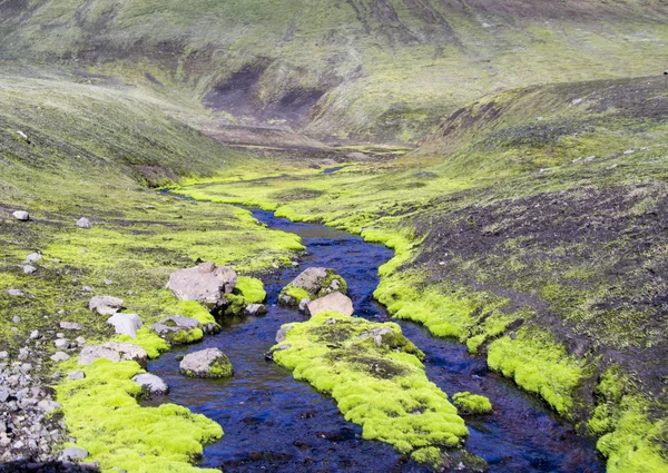 Wild mountain river — Stock Photo, Image