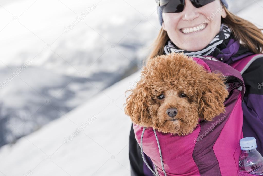 Best friends in the mountains