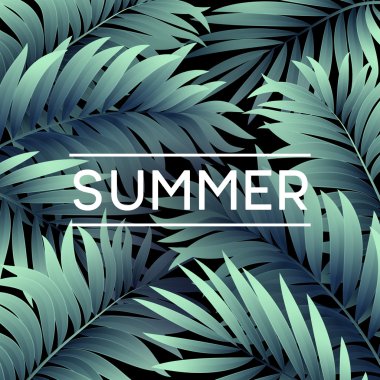 Yaz tropikal arka plan palmiye yaprakları. Tropikal palmiye yaprakları. Tropikal yaz tasarım. Yaz tasarım için arka plan. Palmiye yaprakları yaz arka plan