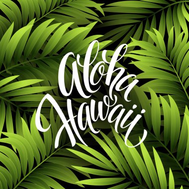 Yaz tropikal arka plan palmiye yaprakları. Tropikal palmiye yaprakları. Tropikal yaz tasarım. Yaz tasarım için arka plan. Palmiye yaprakları yaz arka plan