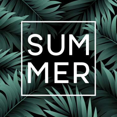 Yaz tropikal arka plan palmiye yaprakları. Tropikal palmiye yaprakları. Tropikal yaz tasarım. Yaz tasarım için arka plan. Palmiye yaprakları yaz arka plan