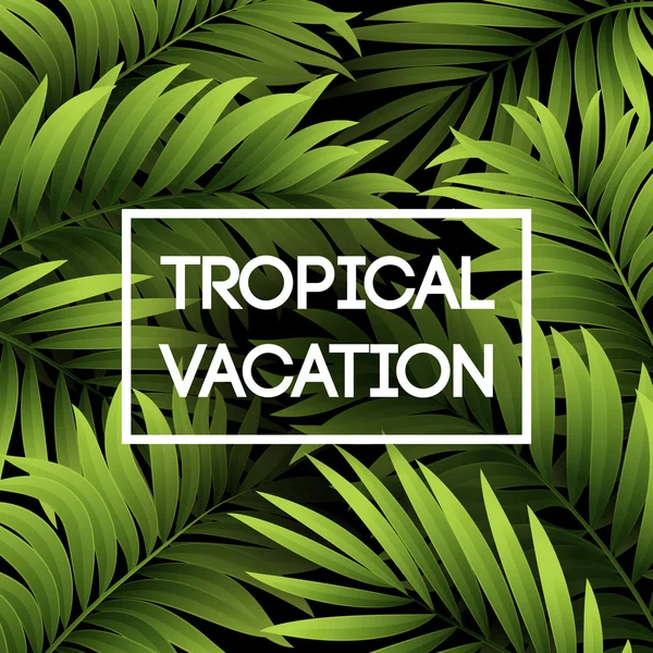 Fondo tropical de verano de hojas de palma. Hojas de palma tropical. Diseño tropical de verano. Fondo para el diseño de verano. Fondo de verano de hojas de palma — Vector de stock