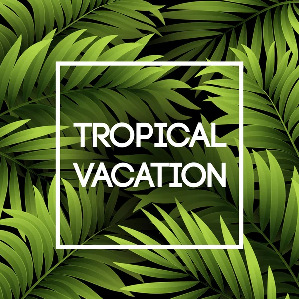 Fondo tropical de verano de hojas de palma. Hojas de palma tropical. Diseño tropical de verano. Fondo para el diseño de verano. Fondo de verano de hojas de palma — Vector de stock