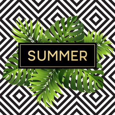 Tropikal monstera tasarım metni kartı için bırakır. Vektör çizim