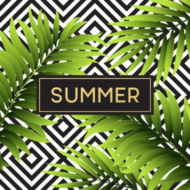 Tropikal monstera tasarım metni kartı için bırakır. Vektör çizim